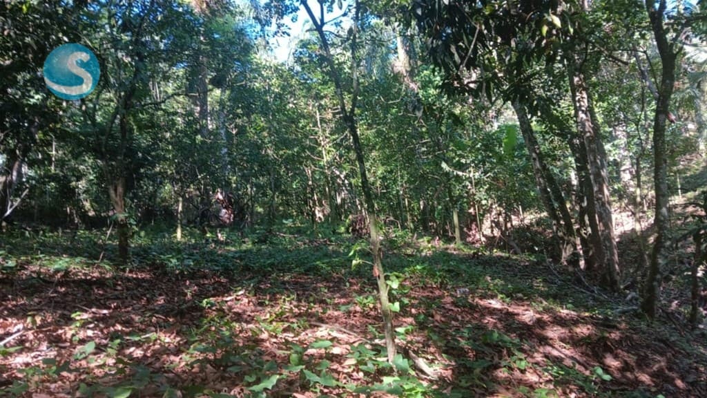 Solar en Venta, Jarabacoa