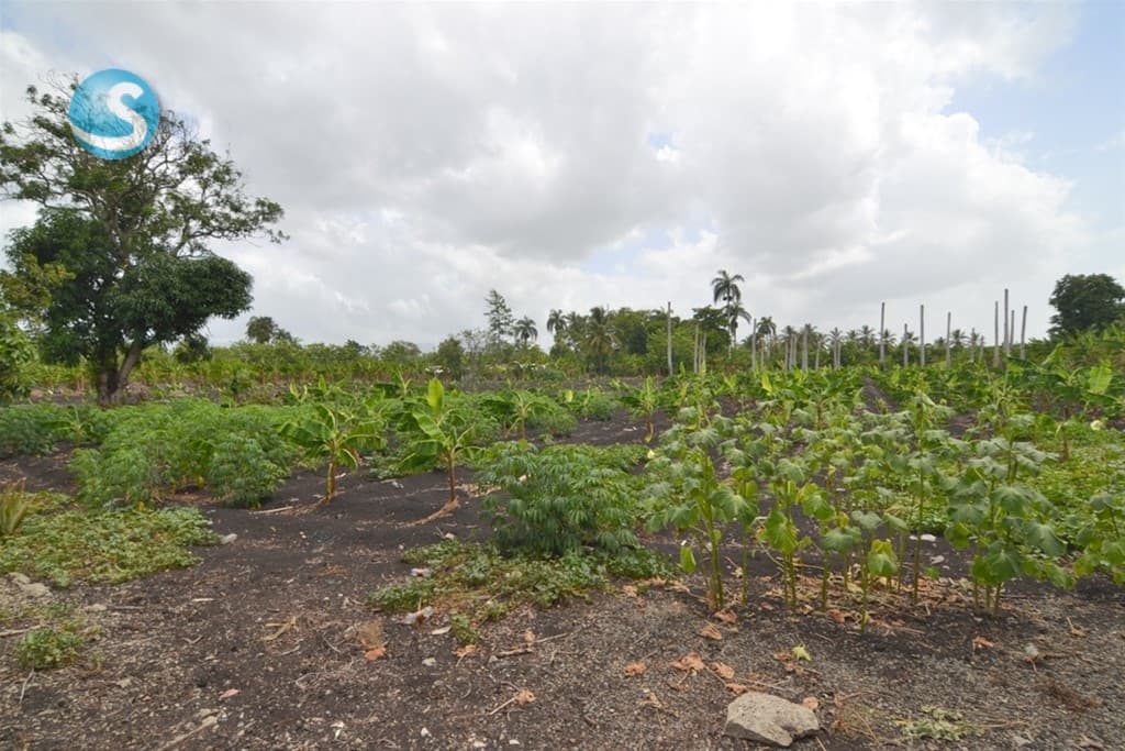 Finca en Venta, Licey al Medio