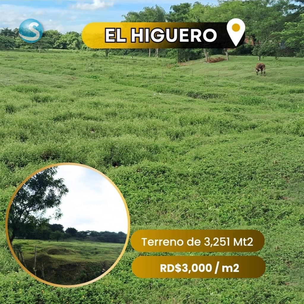 Solar en Venta, El Higuero